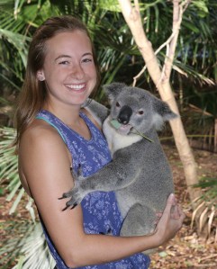 Koala